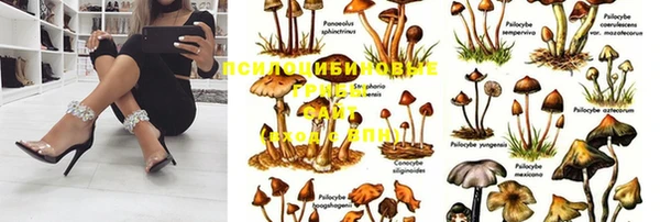 спайс Алексин