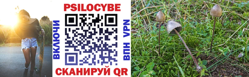 где купить наркоту  Ясный  Псилоцибиновые грибы Psilocybine cubensis 