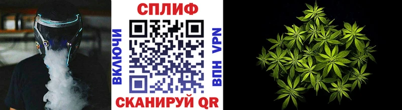 МАРИХУАНА планчик  Ясный 